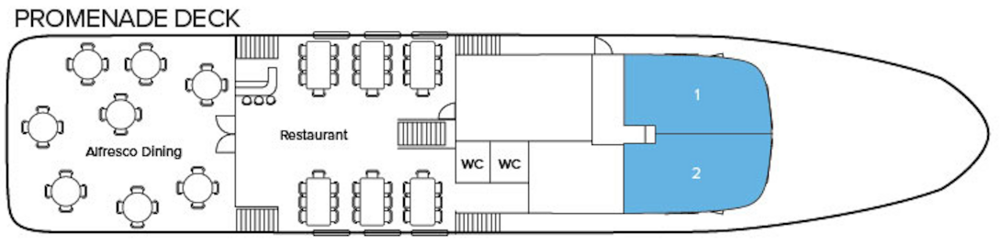 APT Travelmarvel Princess Eleganza Promenade Deck.png